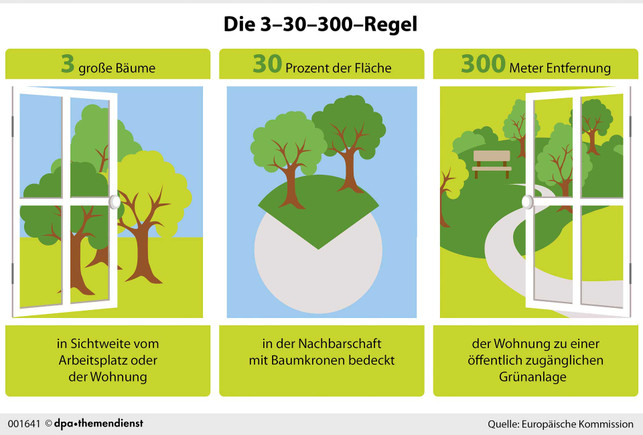 Wie viele Bäume stehen vor deinem Fester? 3-30-300-Regel beeinflusst Psyche Wie viele Bäume stehen vor deinem Fester? 3-30-300-Regel beeinflusst Psyche