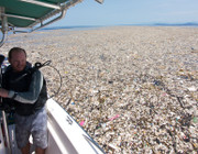 Plastik Plastikmüll Meer Karibik