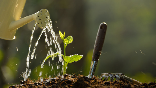 toom_Utopia-Giessen_24-23 (1)