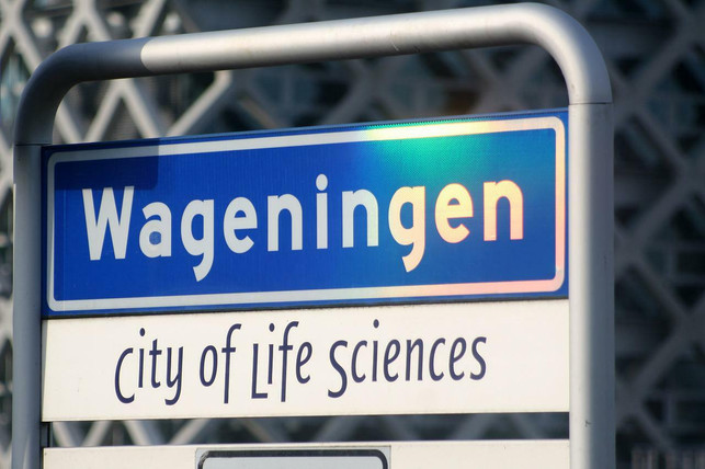 wageningen-in-der-foodvalley-region-in-den-niederl-cc0-pixabay-tonvandenborn-220518_download Wageningen in der Foodvalley Region in den Niederlanden: Die Stadt der Biowissenschaften.