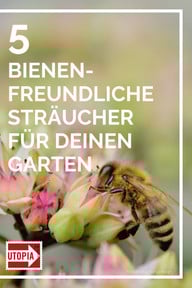 pin-it-foto-pixabay-congerdesign-200511_download Pin it!