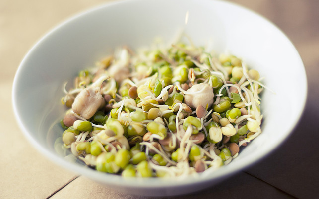 Microgreens Keimlinge Sprossen Microgreens werden etwas später geerntet als Keimlinge