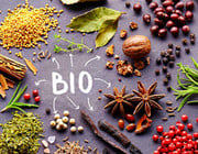 Bio Gewürze kaufen online Versand