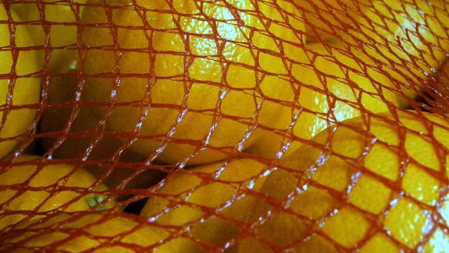 orangen-im-netz-cc0-pixabay-eukalyptus-240930 Orangen im Netz