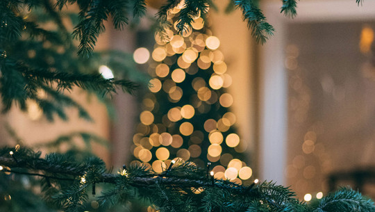 "300-mal teurer" - Dieser Stromfresser hat am Weihnachtsbaum nichts verloren Lichterkette Baum