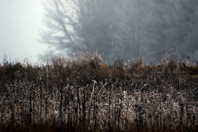 frueher-dienten-die-rauhnaechte-als-wetterprognose-cc0-pixabay-onkelglocke-230223_download Früher dienten die Rauhnächte als Wetterprognose.