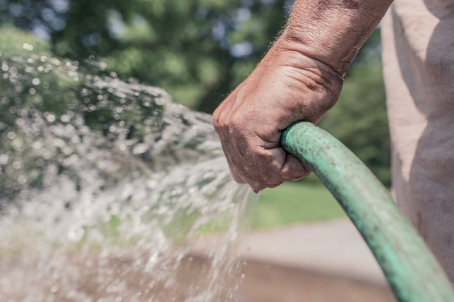 frage-nachbarinnen-um-hilfe-bei-der-gartenpflege-cc0-pixabay-ryanmcguire-220818_download Frage Nachbar:innen um Hilfe bei der Gartenpflege, während du im Urlaub bist.
