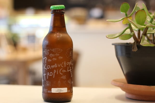 endlich-hast-auch-du-deinen-ganz-eigenen-einzigar-cc0-pixabay-lyrasid-181211_download Deinen eigenen, selbstgemachten Kombucha-Tee kannst du bei heißen Temperaturen gekühlt deinen Gästen servieren.