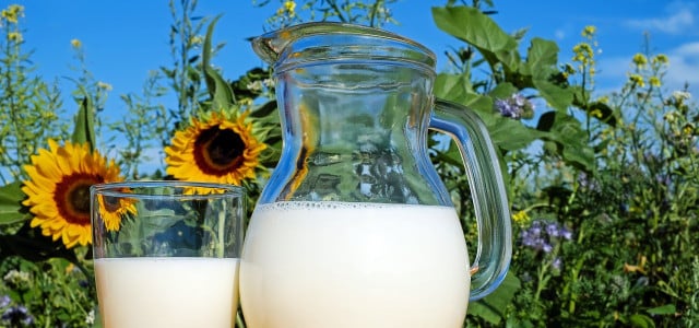 Milchkefir selber machen ist einfach und gesund.