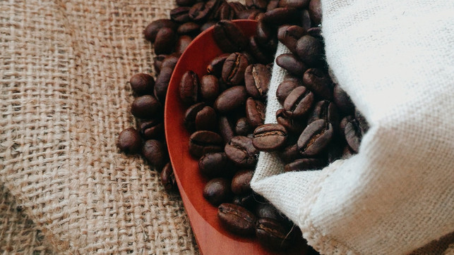 wv-istkaffeegutoderschlecht-us-ivy-aralia-nizar-211220-1280x720-1 TK Weltverbesserer Ist Kaffee gut oder schlecht