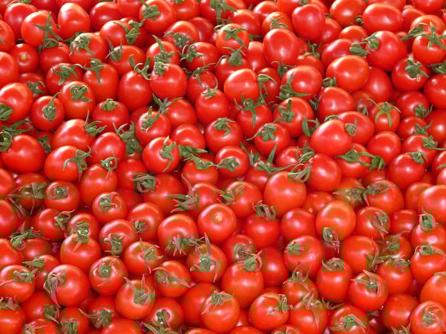 tomaten-die-fuer-den-kommerziellen-vertrieb-angeba-cc0-pixabay-hans-181014_download Alte Tomatensorten: Tomaten, die für den kommerziellen Vertrieb angebaut werden, sollen einheitlich aussehen.