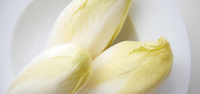 chicoree saison