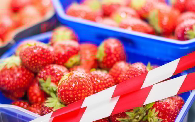 pestizide obst gemuese erdbeeren dreckiges dutzend pestizide obst gemuese erdbeeren dreckiges dutzend