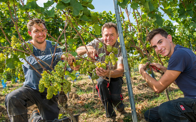 ABBI_Brand-Brueder_8367_1280x800px_Quelle_Alnatura_Fotograf_Marc_Doradzillo Alnatura Bio Landbau Initiative