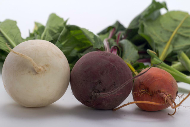 Red and yellow beets were bred from white beets. 