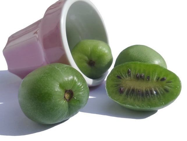 auch-mini-kiwis-kannst-du-in-deutschland-problemlo-cc0-pixabay-lmoonlight-220622_download Auch Mini-Kiwis kannst du in Deutschland problemlos auf dem Balkon oder im Garten anbauen.