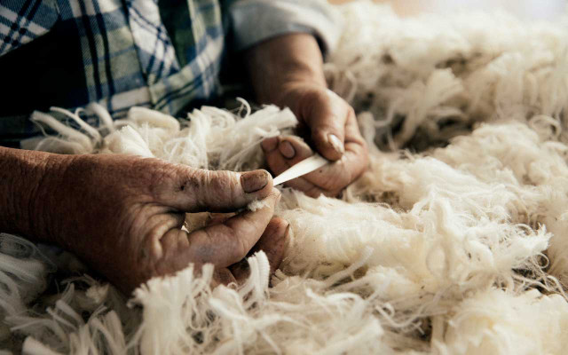 Neu5_Devold_171102-0115_3_Blairich_Station_farm Devold of Norway Wollqualität Schafe