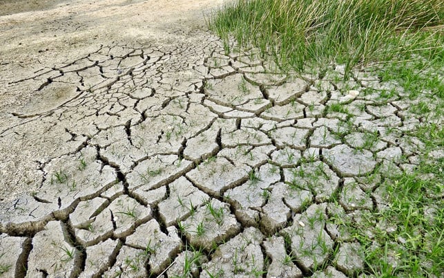 der-klimawandel-mit-duerre-kann-millarden-kosten-cc0pixabayjodylehigh-181003 Der Klimawandel mit Dürre kann Millarden kosten.