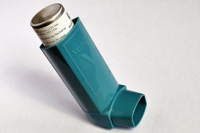 wenn-du-unter-asthma-leidest-bekommst-du-leichter-cc0-pixabay-inspiredimages-190507_download Wenn du unter Asthma leidest, bekommst du leichter eine Nasennebenhöhlenentzündung.