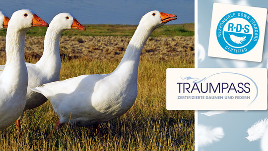 daunen-siegel-cws-Sergey-Nivens-RDS-Traumpass-160817-1280x600 Daunen: Zertifizierungen & Siegel