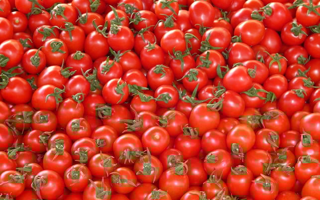 tomaten-die-fuer-den-kommerziellen-vertrieb-angeba-cc0-pixabay-hans-181014 Tomaten, die für den kommerziellen Vertrieb angebaut werden, sollen einheitlich aussehen.