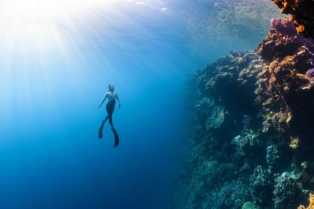 beim-free-diving-ueberschaetzen-sich-hobbysportleri-cc0-unsplash-neom-230630_download Beim Free Diving überschätzen sich Hobbysportler:innen häufig selbst – und ohne gewissenhafte Vorbereitung ist der Sport sehr gefährlich.