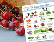 Saisonkalender Juli