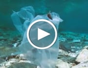 Video Plastikmüll im Meer, in Eruopa und Deutschland