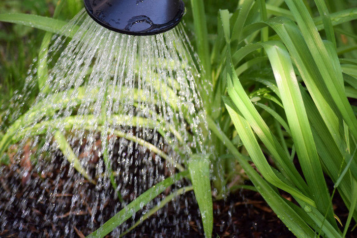 Bitte nicht wegschtten! 7 Dinge, die du mit Nudelwasser machen kannst -  Utopia.de