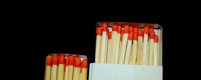 mit-einer-leeren-streichholzschachtel-kannst-du-in-cc0-pixabay-moritz320-220714_download Mit einer leeren Streichholzschachtel kannst du Insekten nach draußen helfen.