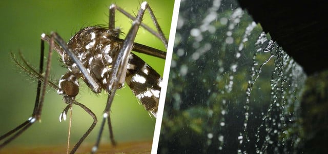 Vorbereitung statt Panik: So rüstest du dich für die Klimakrise – 7 Tipps (Foto: CC0 Public Domain - Pixabay/ Wikiimages, Unsplash/ Richie Roberts) Vorbereitung statt Panik: So rüstest du dich für die Klimakrise – 7 Tipps