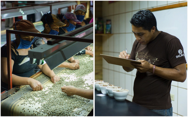 Fairtrade-Kaffee-Verarbeitung: hier in der honduranischen Kaffee-Kooperative COMSA Fairtrade-Kaffee-Verarbeitung: hier in der honduranischen Kaffee-Kooperative COMSA