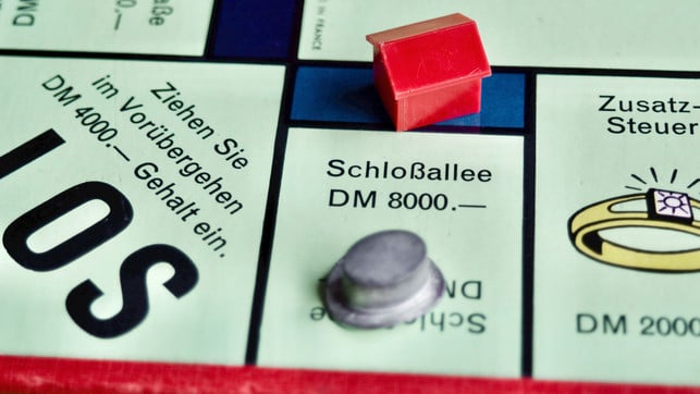 stock-birken-J36Z5hLlnvk-unsplash_1920x1080px