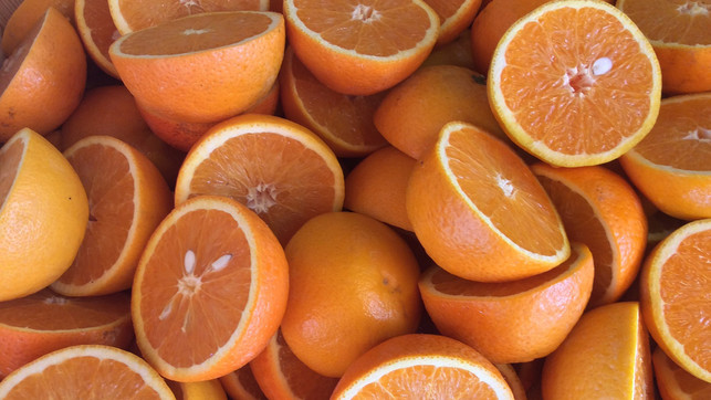 oekot-test-orangensaft-pb-Separatus-211222-1280x720 Zu wenige wissen von den miserablen Arbeitsbedingungen, unter denen Orangensaft oftmals in Brasilien hergestellt wird.