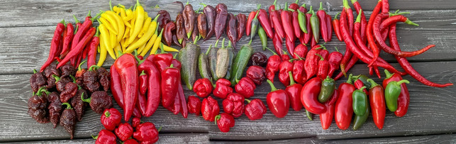 die-schaerfe-von-gewuerzpflanzen-kannst-du-an-der-ei-cc0-pixabay-valdazf-191029_download Die Schärfe von Gewürzpflanzen kannst du an der Einheit Scoville ablesen.