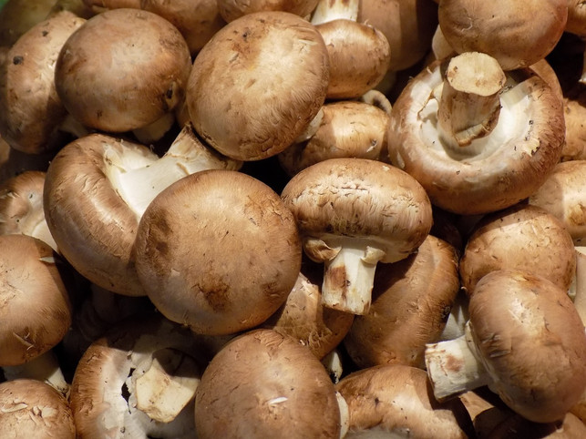 Mushrooms are an iodine-rich alternative to fish.