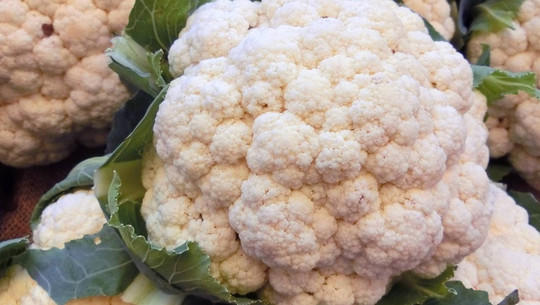 blumenkohl-cc0-pixabay-lbokel-180627 Blumenkohl