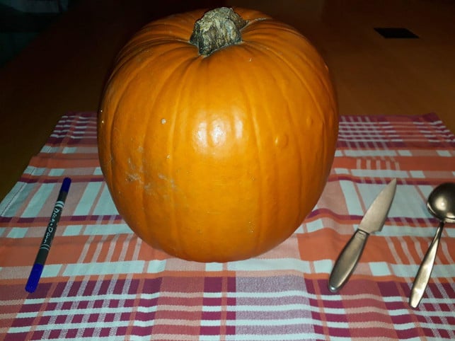 lege-zunaechst-die-benoetigten-utensilien-bereit-maren-fischer-utopia-181027_download Lege fürs Kürbis schnitzen zunächst die benötigten Utensilien bereit.