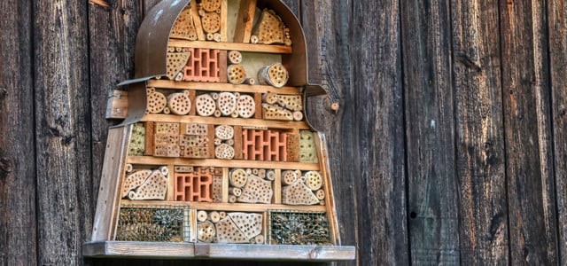 Fehler Insektenhotel