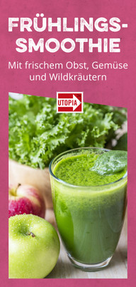 fruehlings-smoothie-obst-gemuese-wildkraeuter Frühlings-Smoothie mit frischem Obst, Gemüse und Wildkräutern