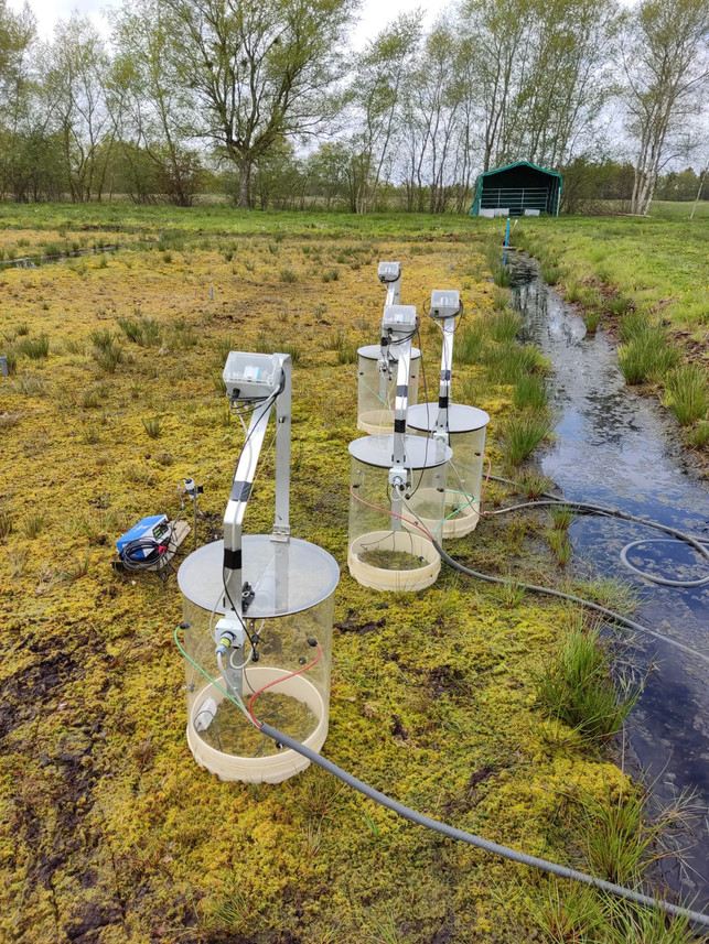 Standardisierte Treibhausgas-Messung (nach GreenHouseGas Protocol) im Moor Standardisierte Treibhausgas-Messung (nach GreenHouseGas Protocol) im Moor