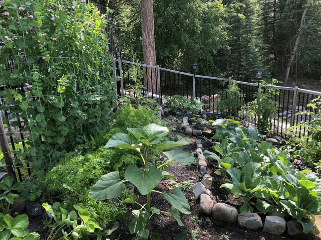 lerne-die-vielfalt-in-der-natur-zu-schaetzen-und-nu-cc0-pixabay-jamie_lea-210902_download Lerne die Vielfalt in der Natur zu schätzen und nutze sie für dich.