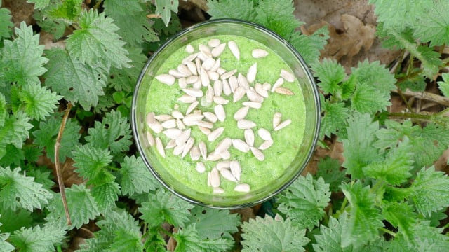 Fruehlings-Smoothie-Silke-Neumann-20190325-1280x720 Fruehlings-Smoothie