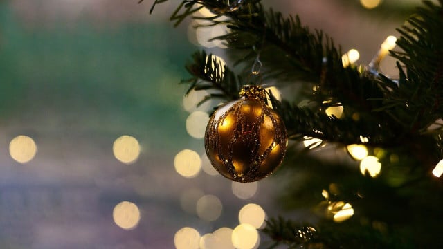 weihnachtsbaum-entsorgen-cc0-pixabay-congerdesign-250116 Weihnachtsbaum entsorgen