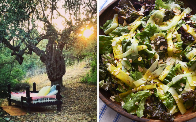 nachhaltig-reisen-siver-island-z-good-travel-160907-1280x800 Nachhaltig Reisen mit Good Travel: Silver Island