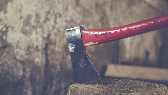 baum-faellen-cc0-pixabay-markusspiske-200522 baum fällen