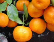 mandarine clementine unterschied