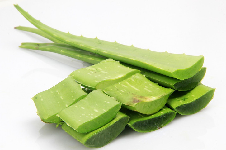 Aloin: So wirkt der Inhaltsstoff der Aloe vera - Utopia.de
