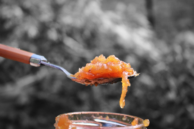 eingefrorene-birnen-kannst-du-am-besten-zu-einem-m-cc0-pixabay-jamstraightuk-220331_download Nach dem Einfrieren kannst du Birnen am besten zu einem Mus oder Kompott weiterverarbeiten.