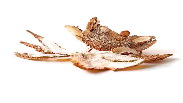 Klaere-AM-Besten-Medische-AB-AB-DU-DIE-WURZE-CC0- PIXABAY--Sti300p-250618_Download It is best to clarify medically before using the roots of angel root.